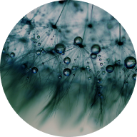 Yehawi Service Center