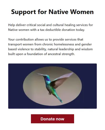 Mother Nation Donation Form image